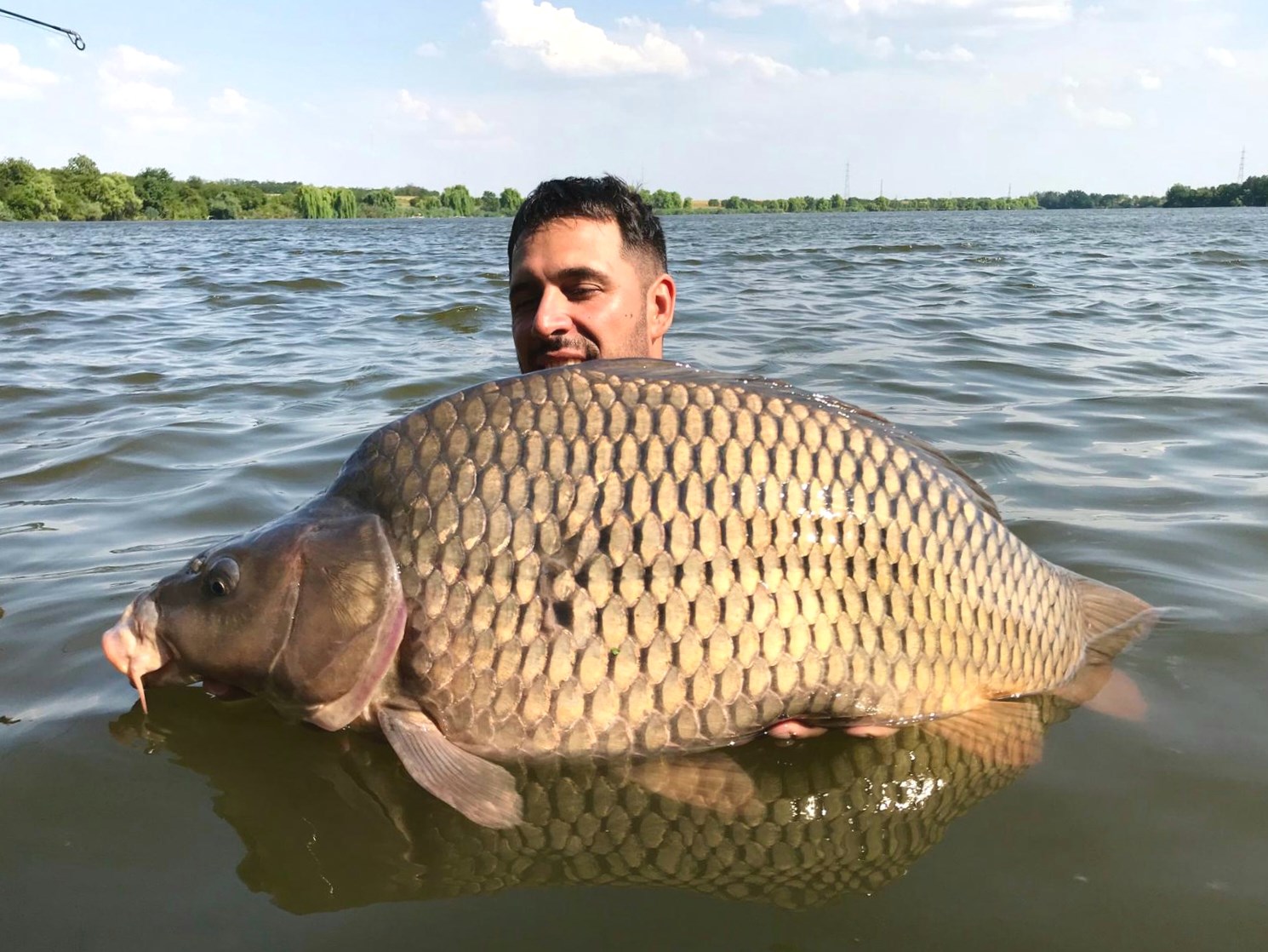 Tancabesti 6 - 9 aug. - 8.5 kg